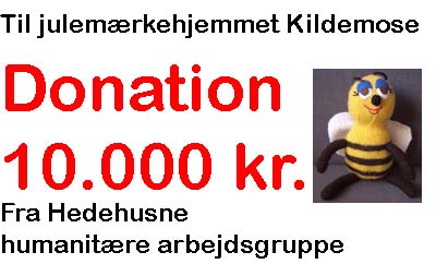 2017-05-28 - Julemærkehjemmet donation 10.000 kr.